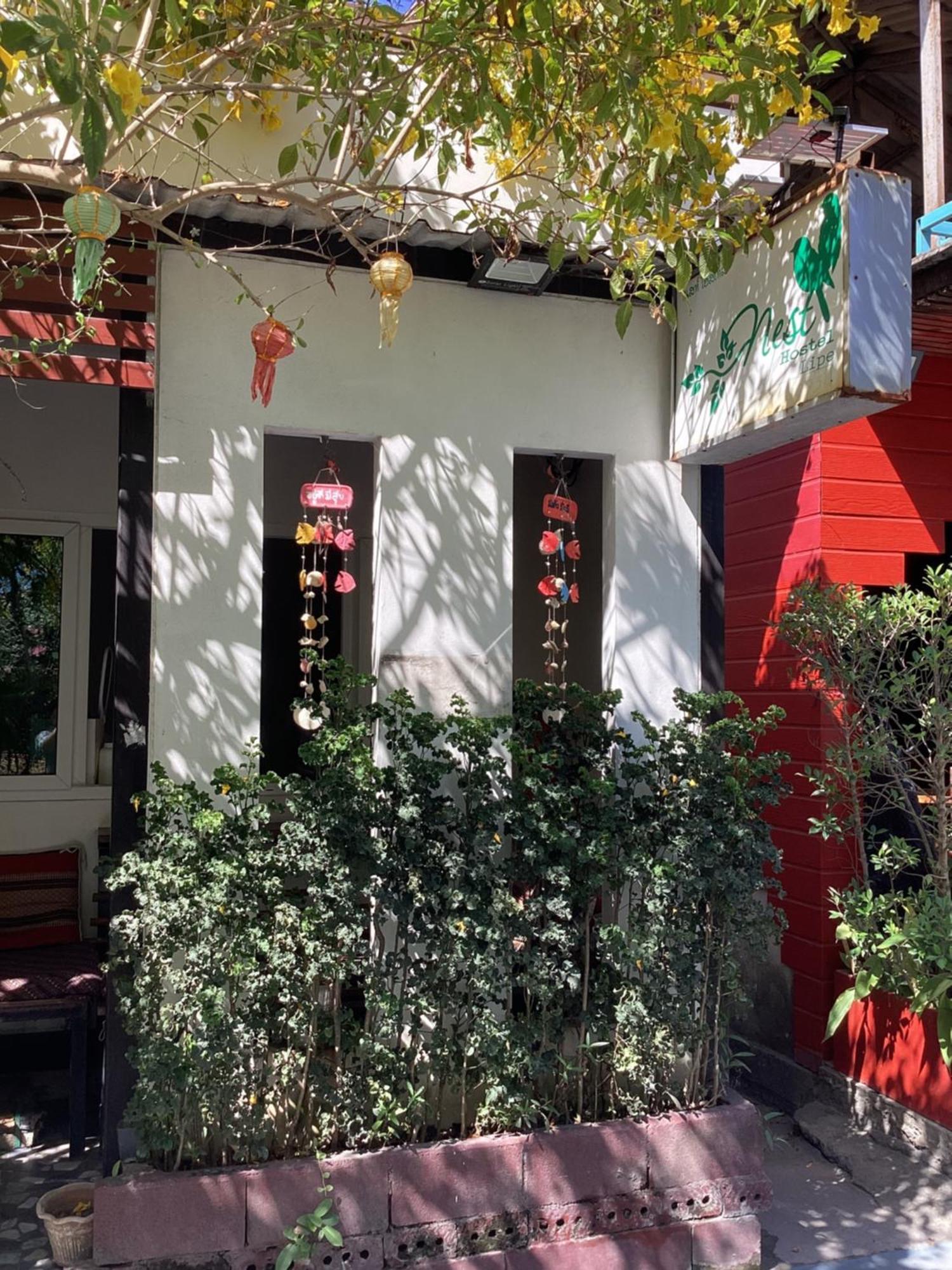 Nest Hostel Lipe エクステリア 写真