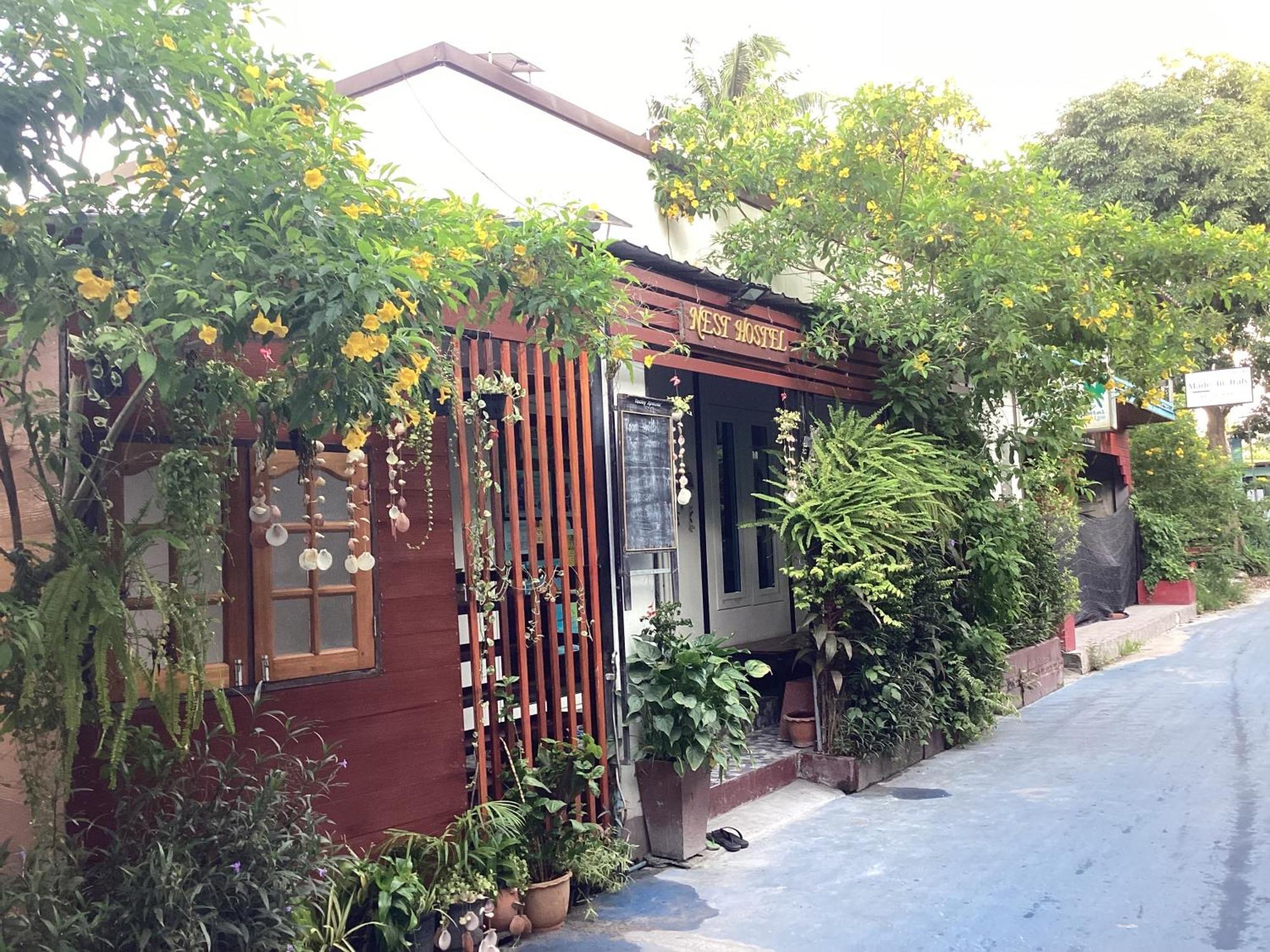 Nest Hostel Lipe エクステリア 写真