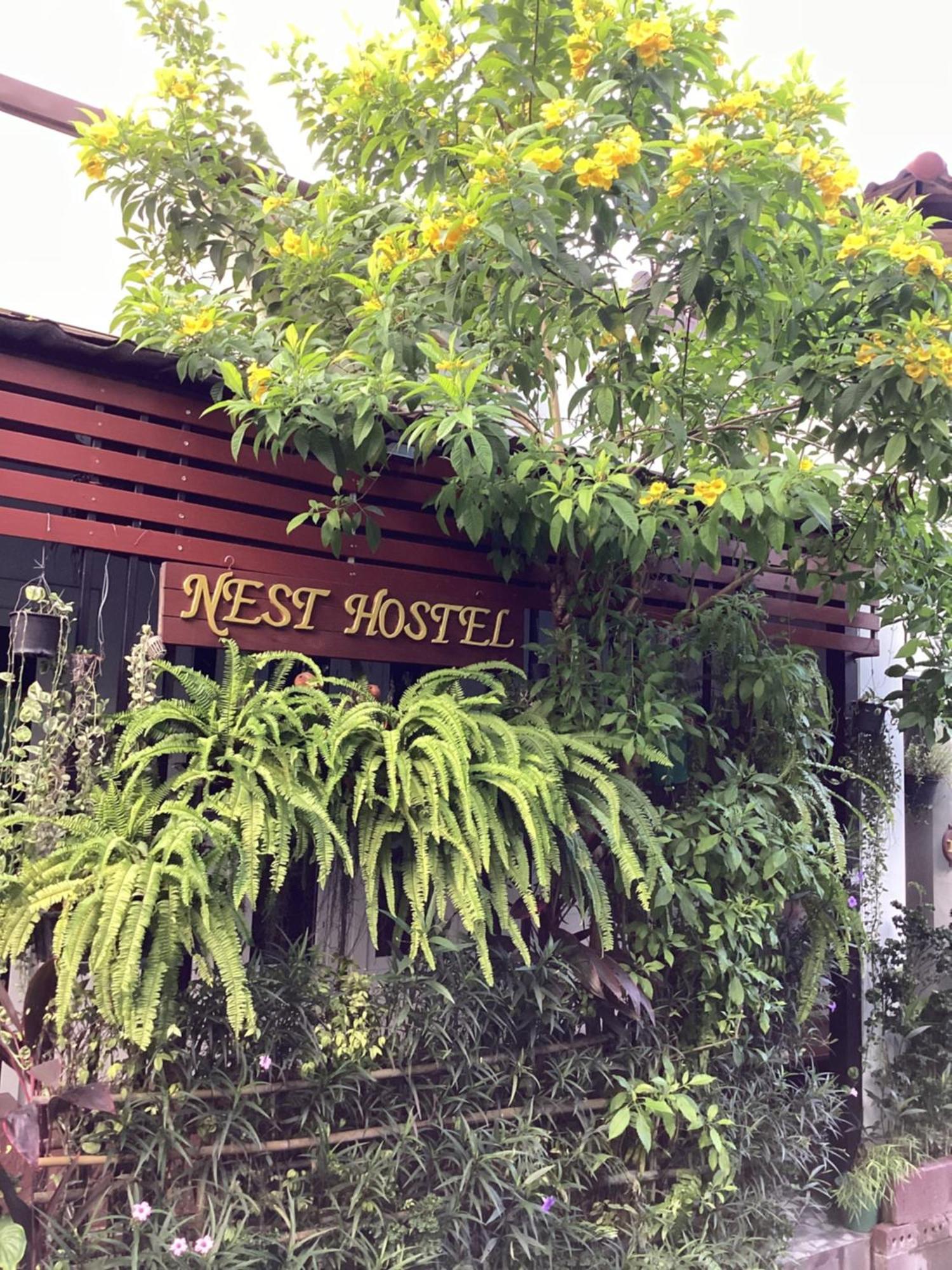 Nest Hostel Lipe エクステリア 写真