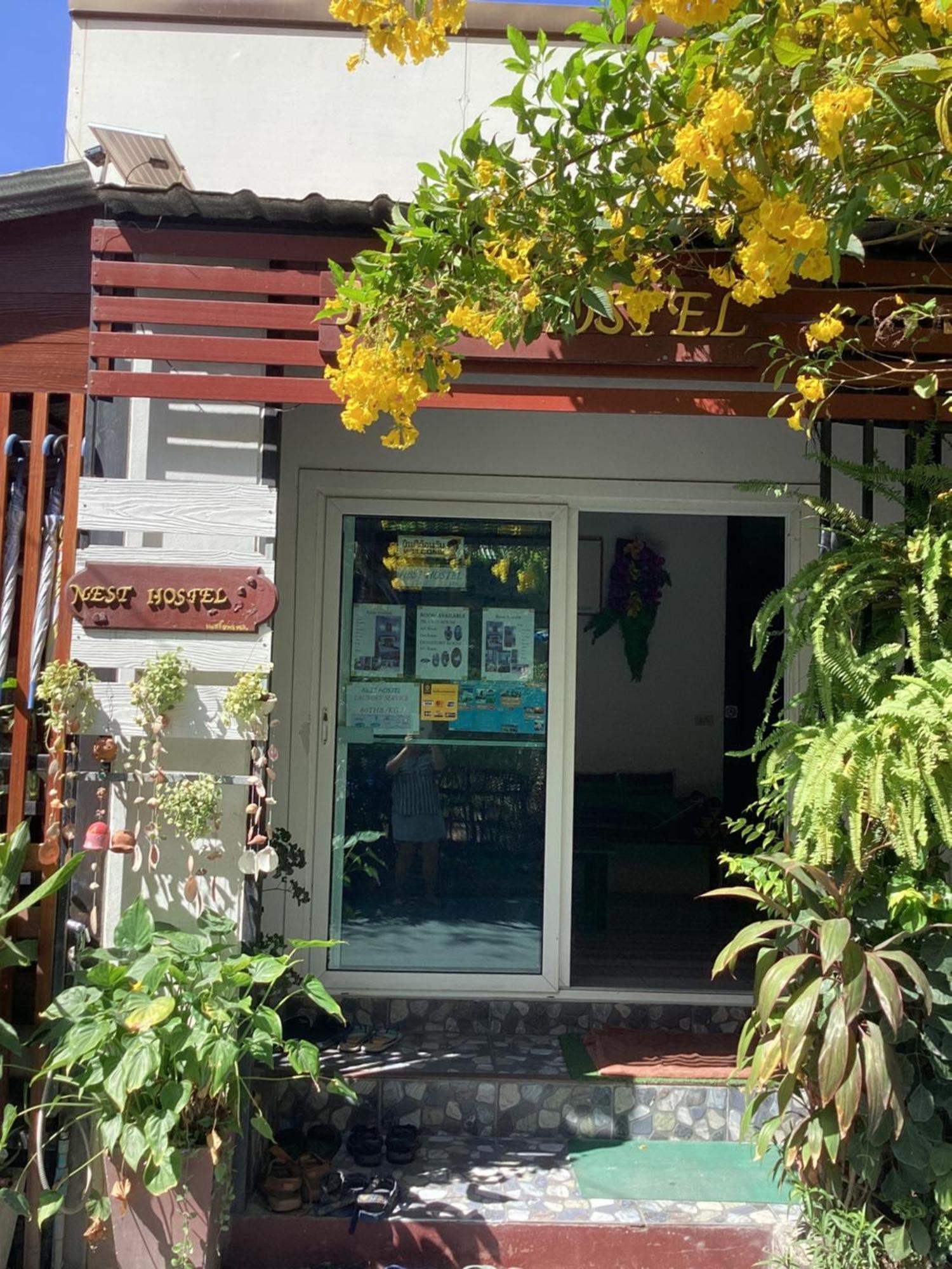 Nest Hostel Lipe エクステリア 写真