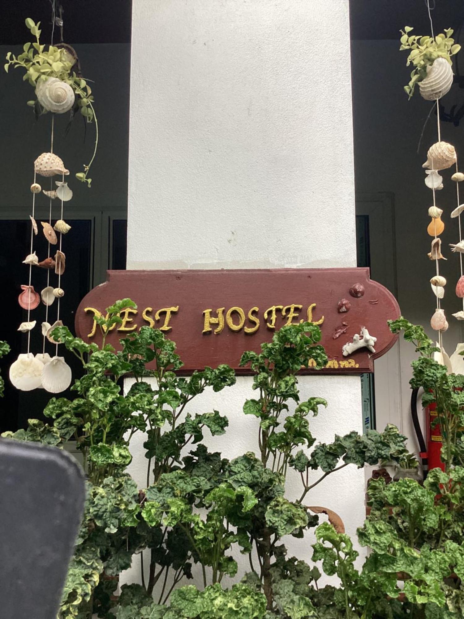 Nest Hostel Lipe エクステリア 写真