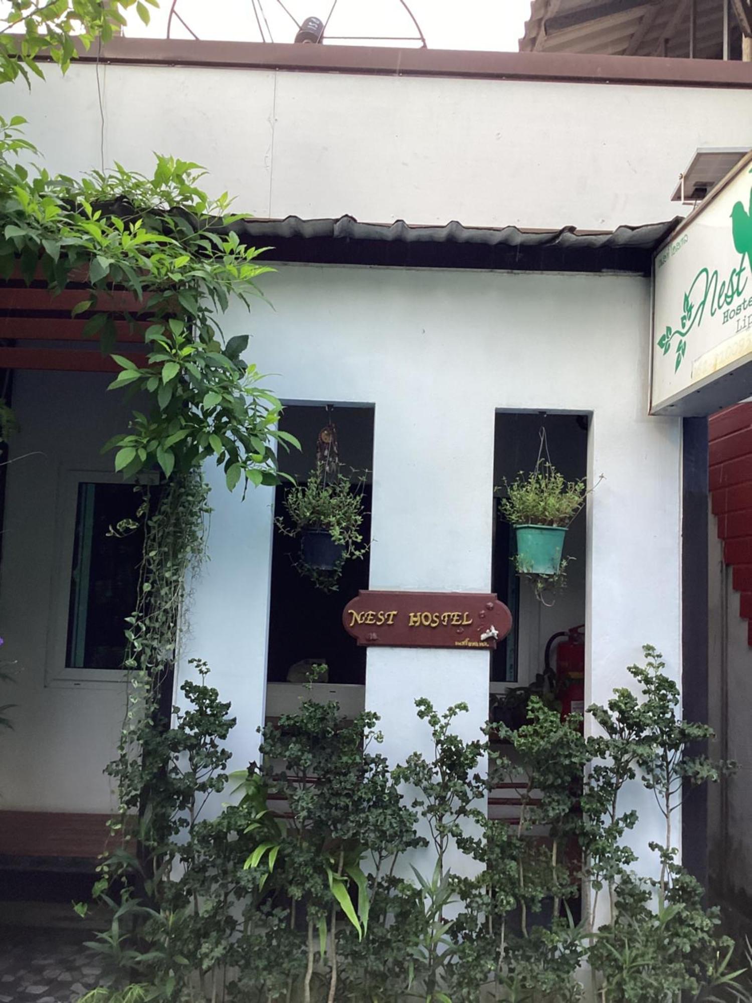 Nest Hostel Lipe エクステリア 写真