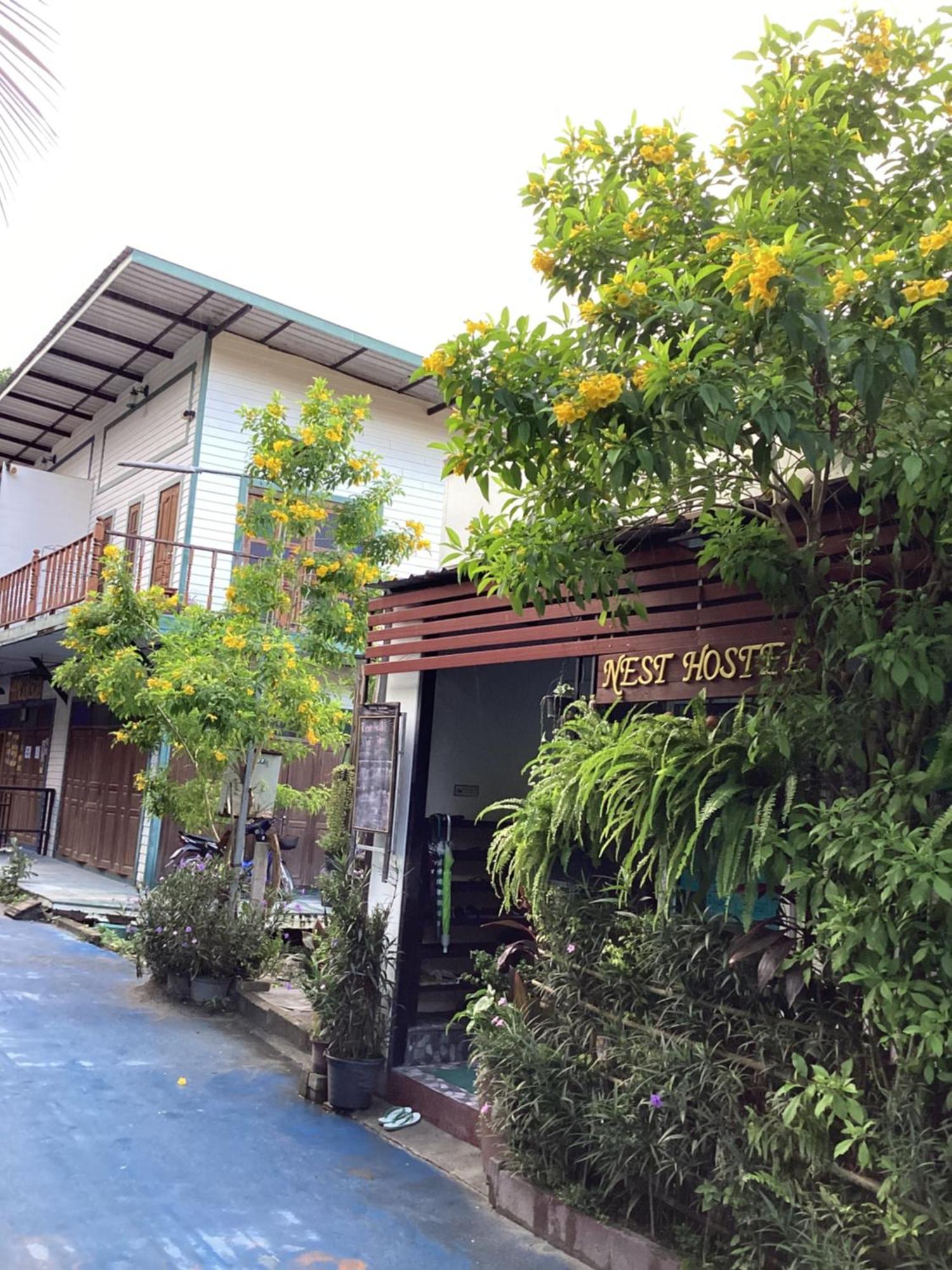 Nest Hostel Lipe エクステリア 写真