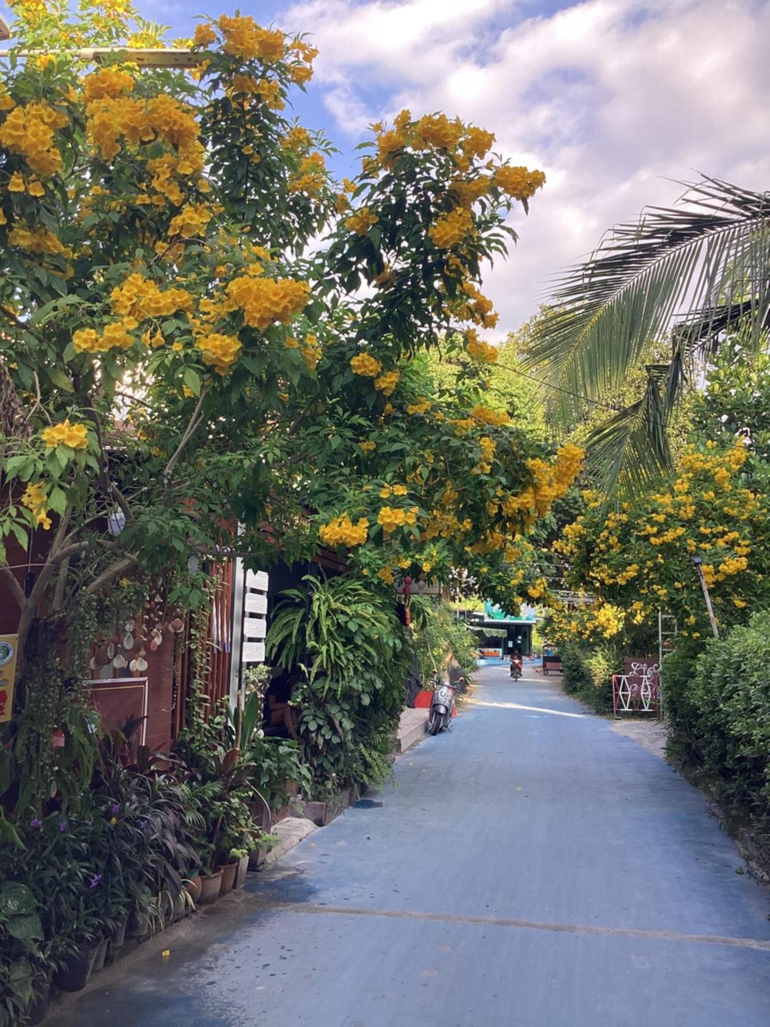 Nest Hostel Lipe エクステリア 写真